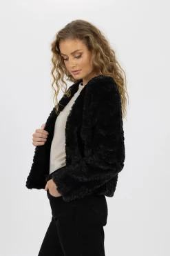 Jackets><noscript><img width=